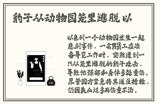 丁丁漫画