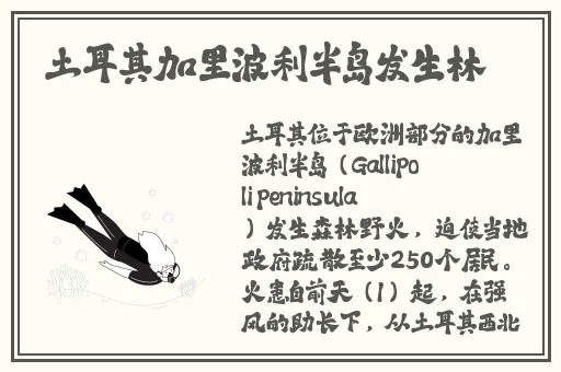 x9x9x9x9任意槽2024入口